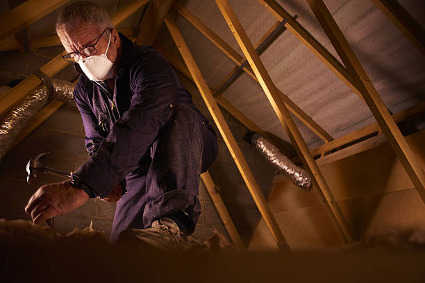Best Insulation Installation Services in Tamaqua, PA